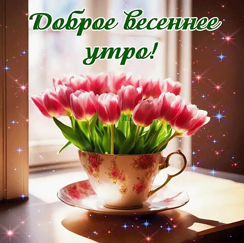 Picture background
