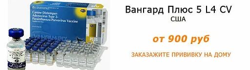 Вангард 5l4. Вангард плюс 5l/4 CV. Вангард 5 l4 CV. Вакцина для собак плюс 5l4.