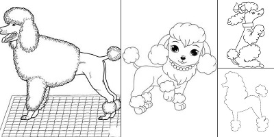 пудель раскраска