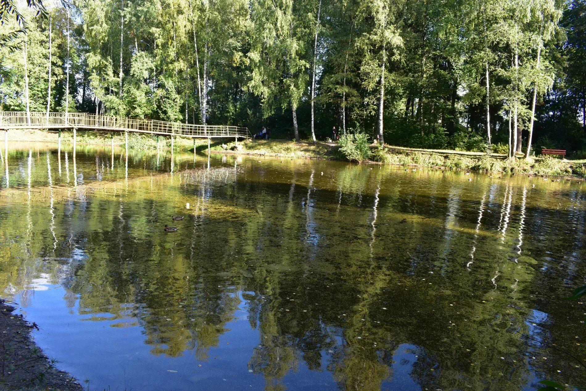 Водоемы костромы