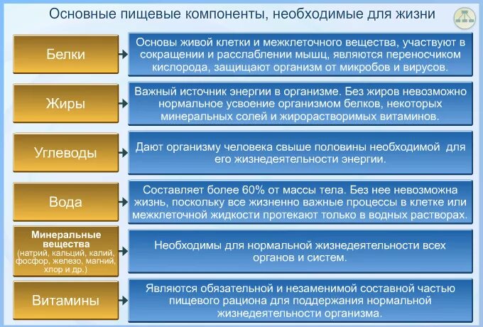 Для чего нужны компоненты. Основные пищевые компоненты. Основные компоненты пищи. Основные компоненты питания человека. Основные питательные элементы.