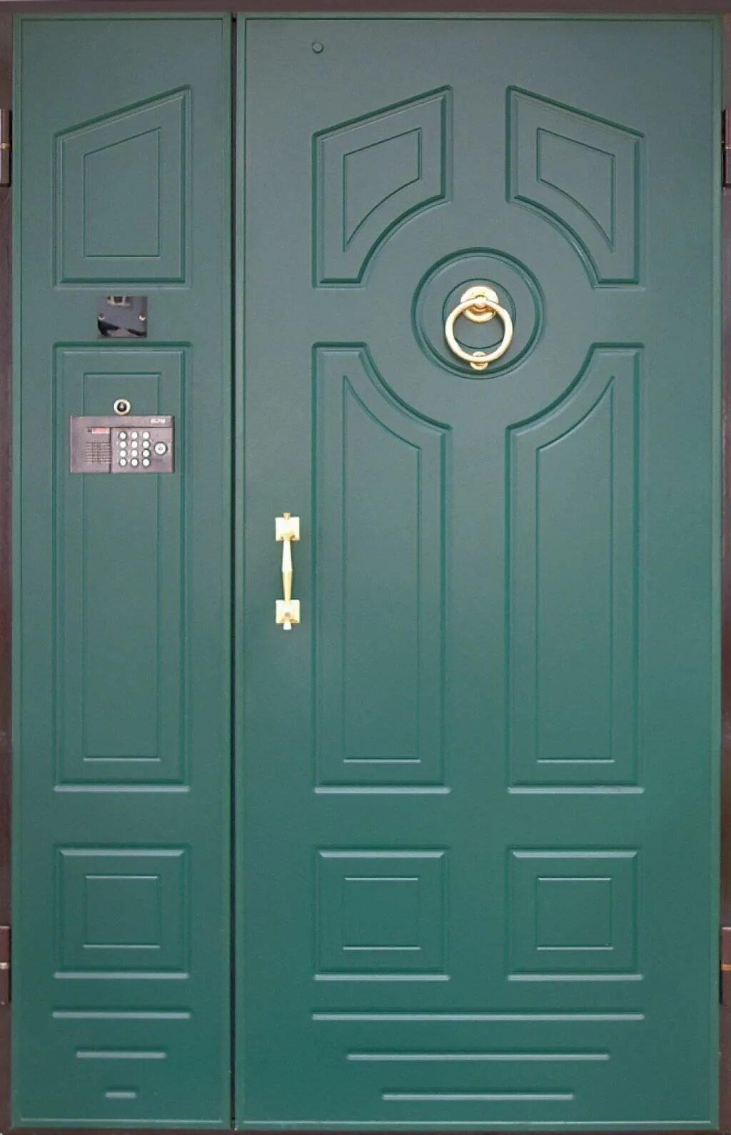 Входные двери в московском купить. Входная дверь. Подъездные двери металлические. Двери наружные металлические. Зеленая входная дверь.