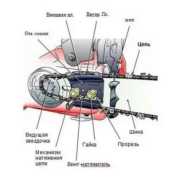 Система смазки цепи бензопилы штиль 180 схема. Схема смазки шины бензопилы. Шина для бензопилы отверстие для смазки цепи. Винт регулировки смазки цепи бензопилы схема.