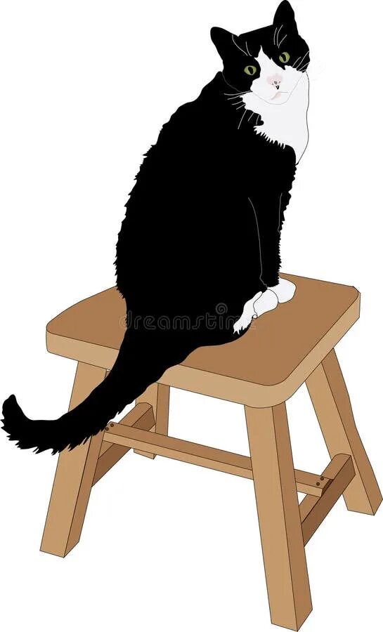 Кот сидит на стуле. Кот сидит на табуретке. Кот лежит на стуле. Кошечка сидит на стульчике. The cat is the chair