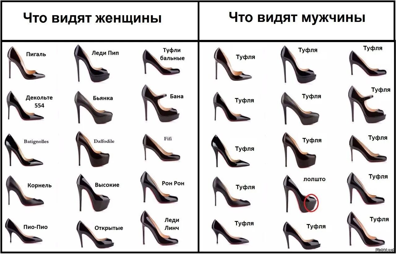 Мир глазами мужчин. Женщины видят большой. Женщины видят большой. Название женских каблуков. Мужчины и женщины различия.