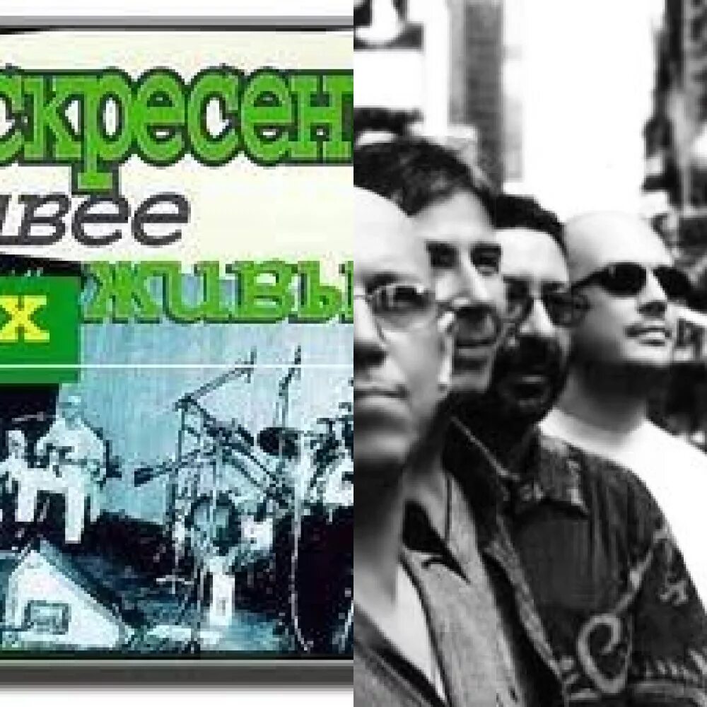 Группа жар птица рокодром. Иллюстрации воскресенья толстого. Физиология человека книга. Дело воскресения. "воскресение".