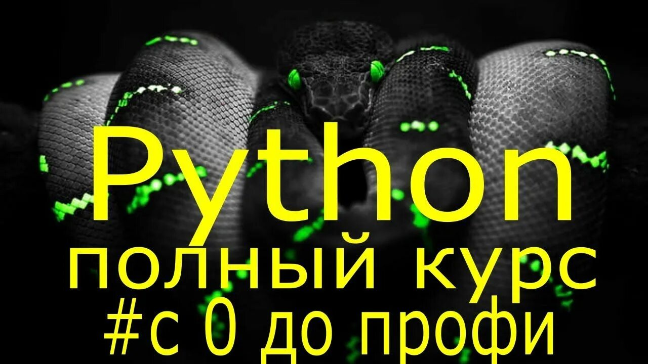 Продвинутые курсы python. Питон программирование для начинающих. Программирование на питоне с нуля. Питон с нуля. Python учить с нуля.