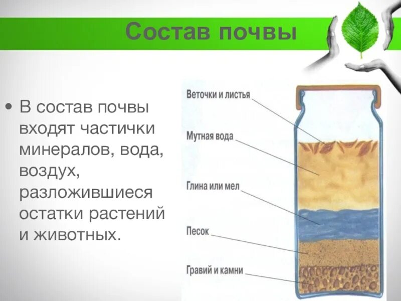 Состав почвы. Состав почвы схема. Почва состав почвы. Из чего состоит почва.