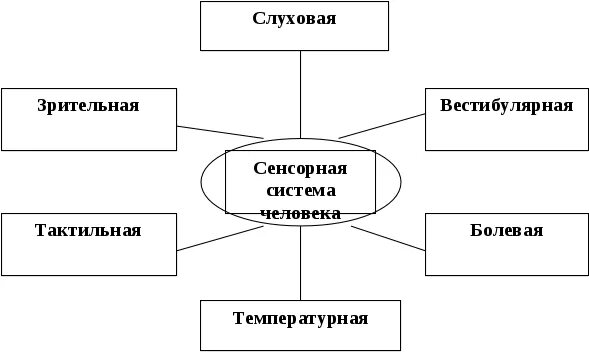 К сенсорным системам относятся. Схема сенсорной системы. Общая схема сенсорных систем. Сенсорные системы человека схема. Сенсорная организация человека.