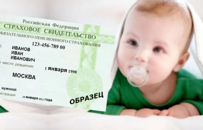 Отказ в выдаче загранпаспорта рф в 2023 году за долги и по другим причинам и осн