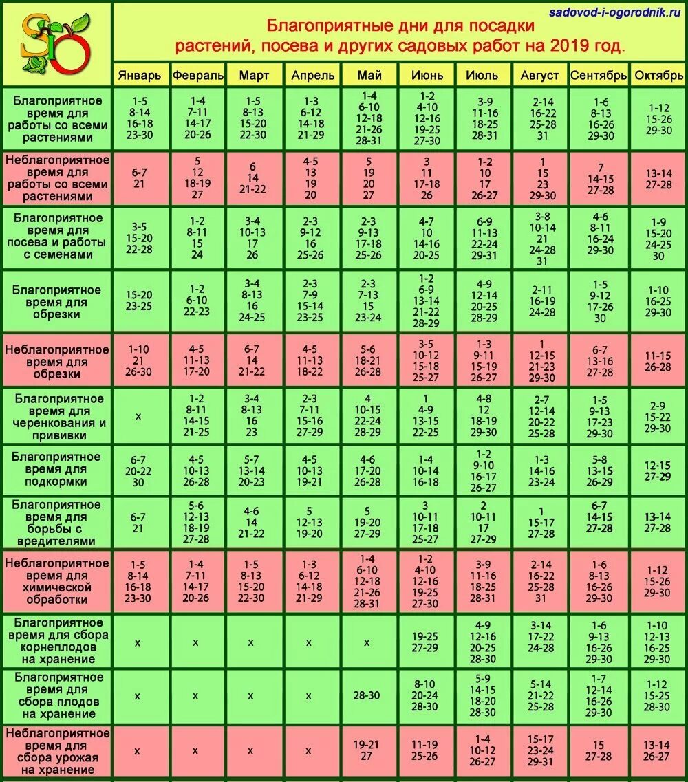 В какие дни сажать семена. Благоприятныеидни для поспдки. Благоприятные дни для посадки. Благоприятные дни для пересадки. Благоприятные дни для Посад.