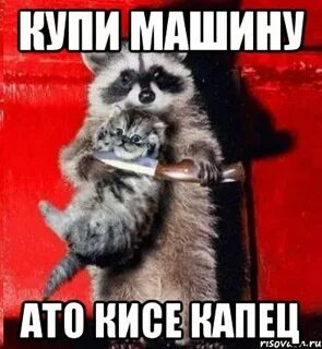 Скинь деньги пушистик