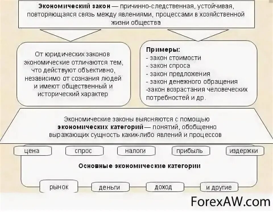 Принцип социальной обусловленности. Экономические законы и категории кратко. Экономические законы и категории. Основные категории экономики. 3 экономические законы и категории.