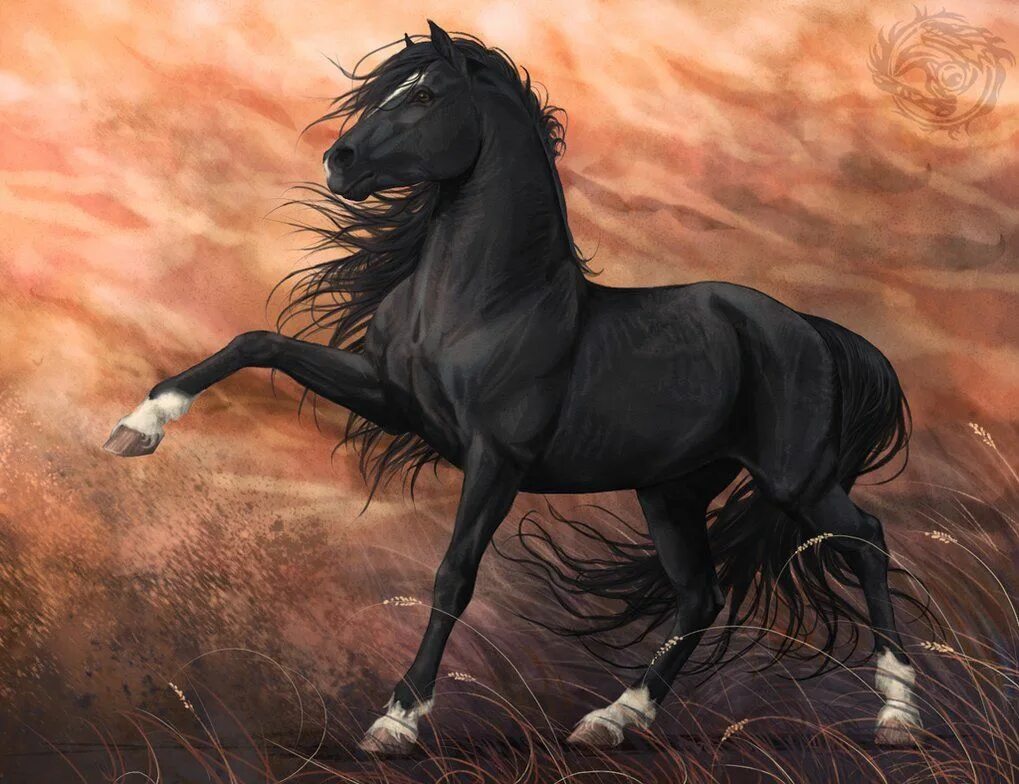 Фризская лошадь Буцефал. Лошадь породы Мустанг иноходец. Буцефал это чей конь