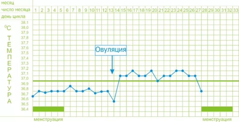 Овуляторный график базальной температуры. Овуляция график базальной. График ректальной температуры овуляция. График базальной температуры с овуляцией. Овуляция на 21 день