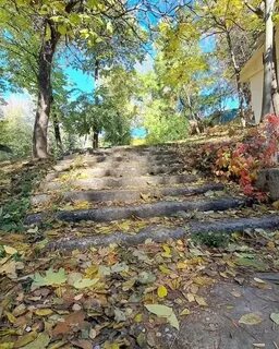 Погода горький 2