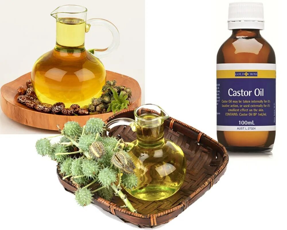 Масло Castor Oil. Касторовое масло. Масло для слабительного. Растительные масла слабительные. Касторовое масло для человека