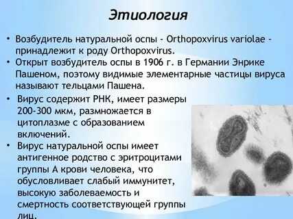 Возбудитель натуральной оспы