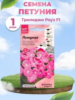 Петуния трилоджи сильвер