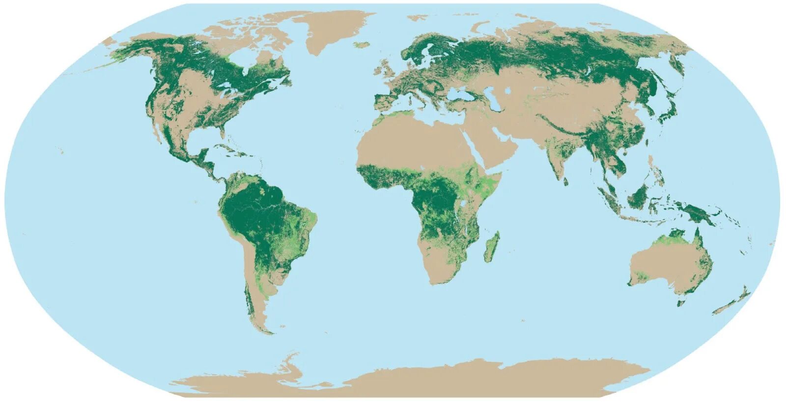 Лесные пояса. Карта лесов земли. Тропические леса на карте. Лесные ресурсы карта.