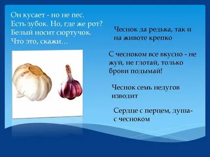 Скажи лук
