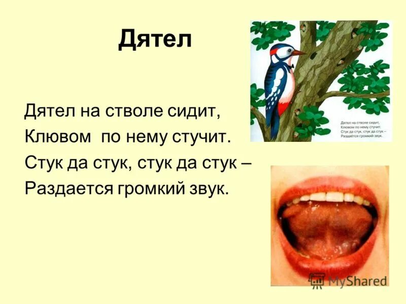 Дятел на дубу сидит и стучит стучит. Упражнение дятел логопед. Упражнение дятел барабан. Стук громкий звук.