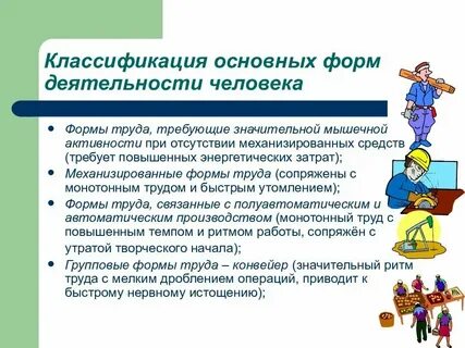 Основные виды формы деятельности человека