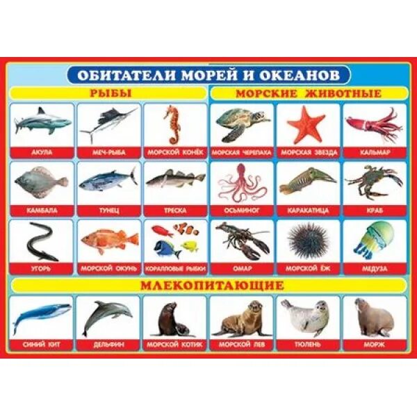 Морские обитатели с названиями для детей. Таблица морских животных. Таблица морских животных. Обитатели морей и океанов для детей. Карточки морские обитатели.
