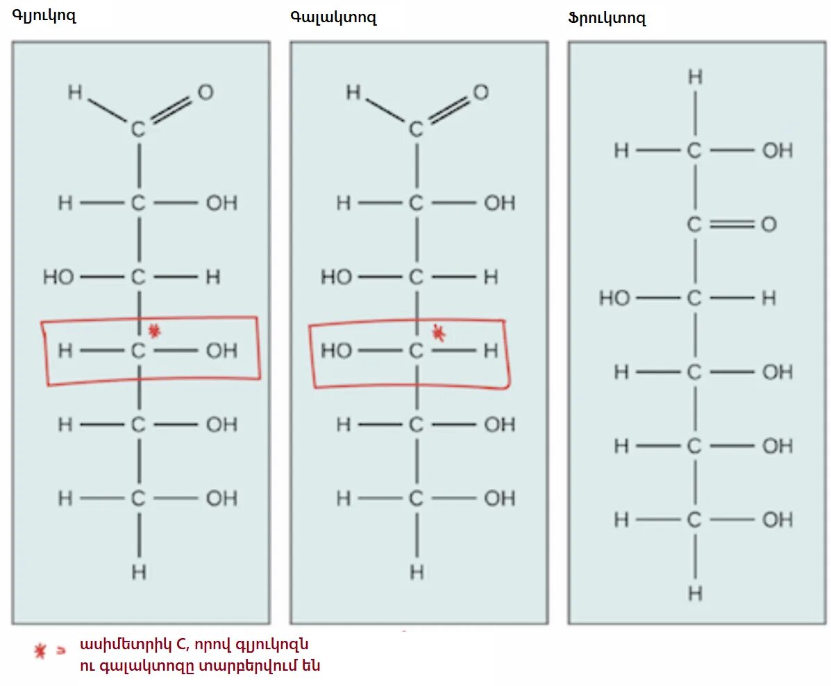 Глюкоза фруктоза галактоза. Строение Глюкозы фруктозы галактозы. Глюкоза фруктоза галактоза формулы. Структурные изомеры Глюкозы.