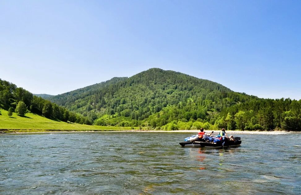 Чарыш. Река чарыш республика алтай. Горный чарыш. Река чарыш горный алтай. Чарыш.