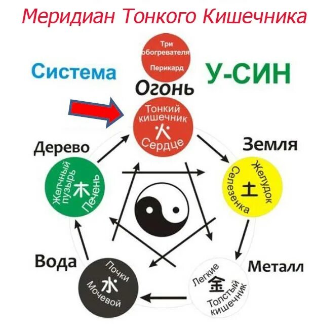 5 элементов культуры и как они влияют. Система 5 элементов у-син. круг у-син 5 элементов. система усин стихии.