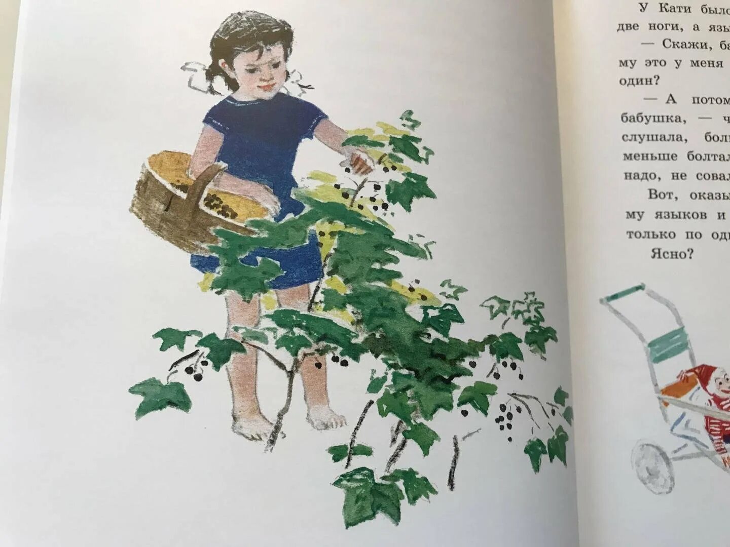 Пермяк рассказы читать. Пермяк смородинка иллюстрации.