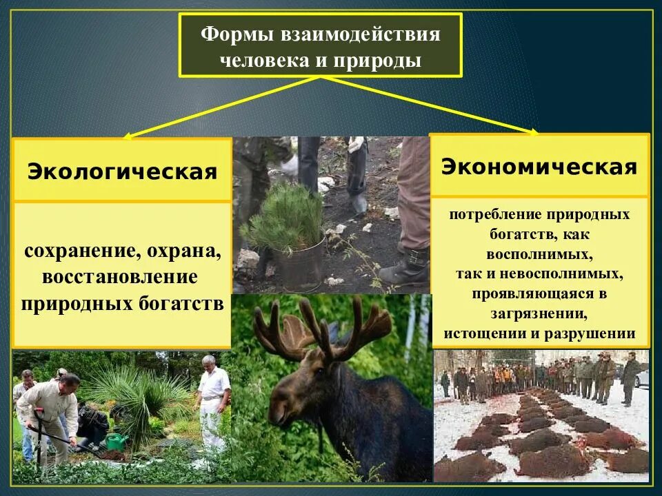 Общество возникло одновременно с природой. Взаимодействие человека и природы. взаимодейстаие человек со природой. взаимосвязь человека и природы. формы взаимодействия человека и природы.