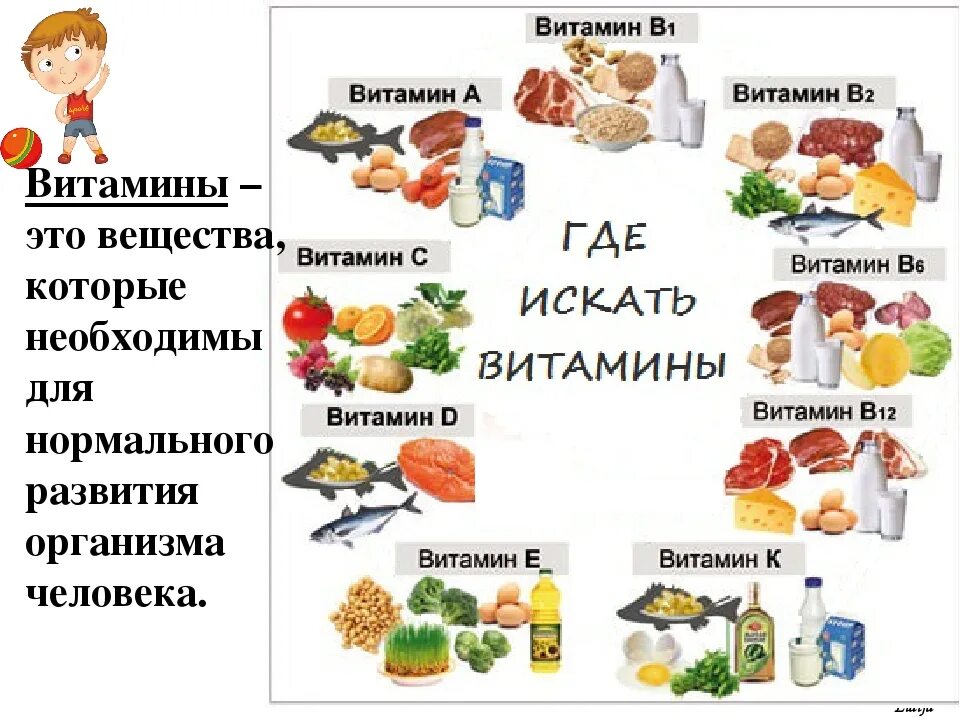 Витамин а находится в продуктах. В каких продуктах какие витамины содержатся таблица. Витамины в каких продуктах содержится с таблицей. В каких продуктах содержится витамин а. Какие витамины в каких продуктах в картинках.