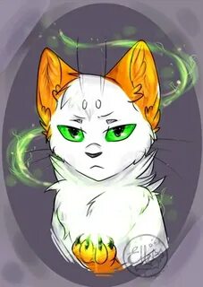 Кот тони