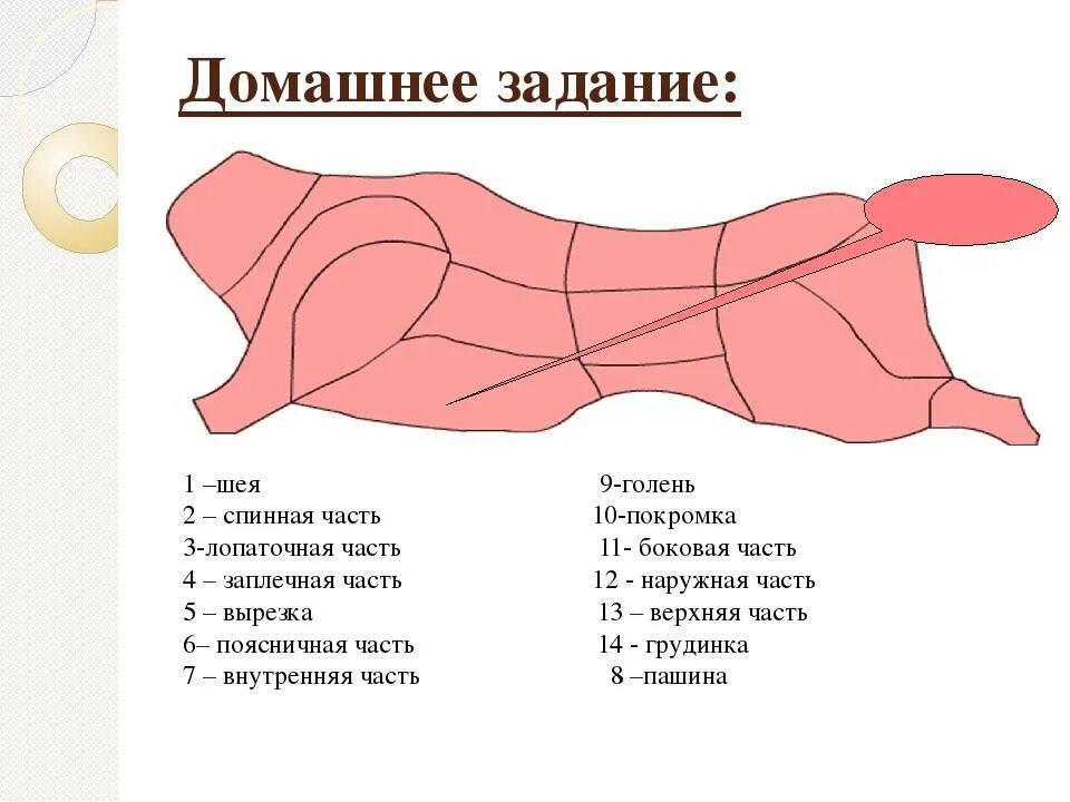 Разделать тушу. Схема разруба говяжьей туши. Схема разруба говяжьей туши. Разруб туши говядины. Схема разделки говяжьих полутуш.