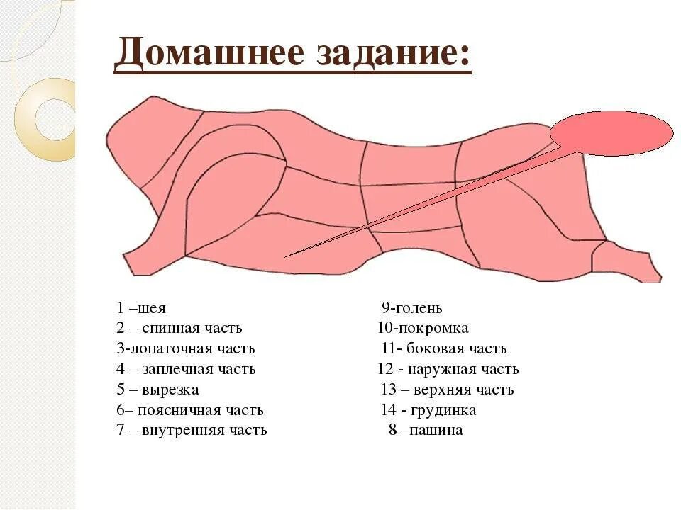 Нежные части говядины. Схема разделки говяжьих полутуш. Схема разделки говядины свинины баранины. Схема разделывания говяжьей туши. Разруб туши свиньи вырезка.