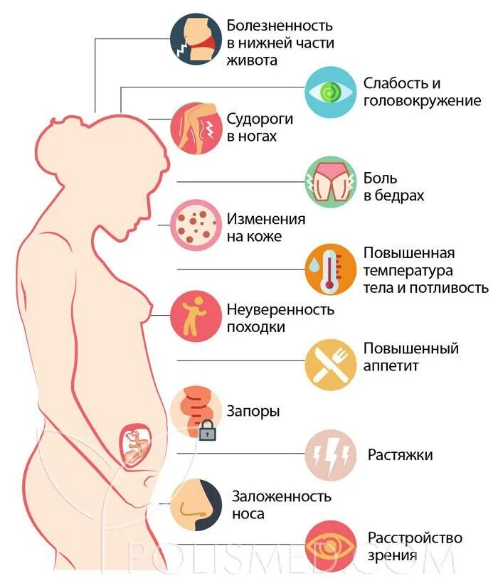 Второй триместр беременности. Симптомы 2 триместра беременности. Симптомы на 19 неделе беременности. Почему у беременных кружится