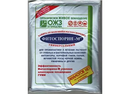 Обработка флоксов от мучнистой