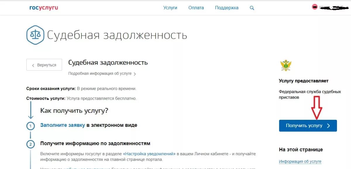После оплаты судебной задолженности. Судебная задолженность госуслуги. Задолженность на госуслугах. Долг приставы госуслуги. Судебная задолженность.