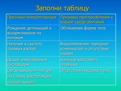 Дятел приспособленность к среде обитания таблица