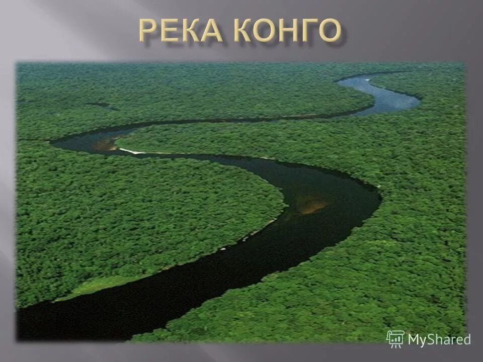 Рассказ река конго. Река Конго. Презентация на тему реки Конго. Река Конго в Африке. Река Заир.