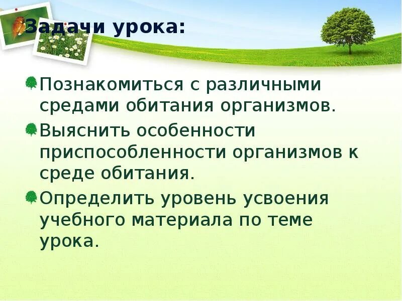 Среды обитания организмов. Приспособление организмов к разным средам обитания. Презентация 3 среды обитания. Цель проекта "среды обитания организмов.