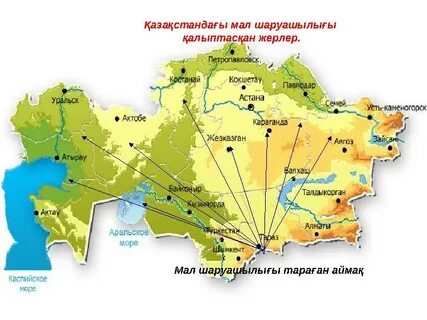 Алтын бүркітпен жыныстық қатынас