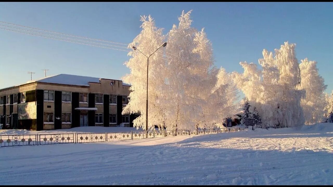 Село Новопесчаное Алтайский край. Село Новопесчаное Бурлинский район. Село Новопесчаное Бурлинский район Алтайский край. Озеро Новопесчаное Алтайский край. Бурлинский район алтайский сайт