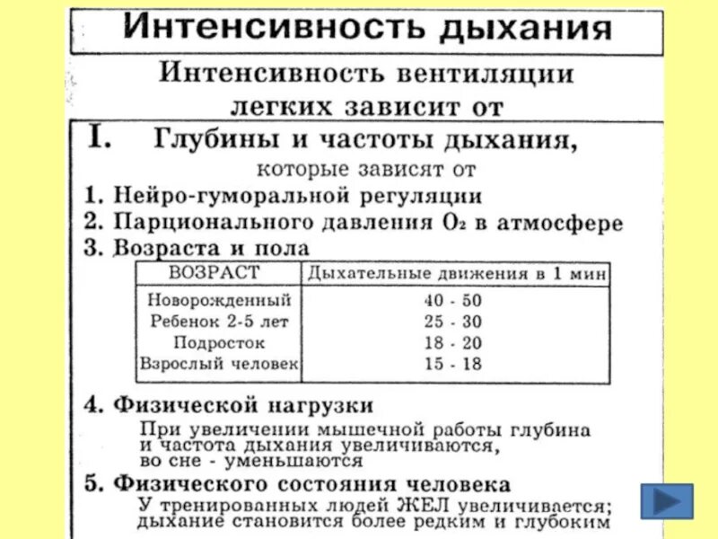 Интенсивность дыхания человека. Факторы от которых зависит глубина и частота дыхания. От чего зависит частота дыхания человека. Частота и глубина дыхания.