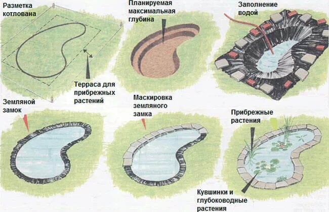 Вскрытию подвергают из каждого пруда не менее. Искусственный водоем схема. искусственный пруд схема. схема устройства водоема на участке. схема строительства искусственного пруда.