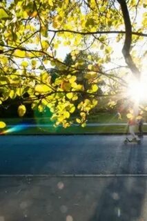 Не люблю солнечную погоду
