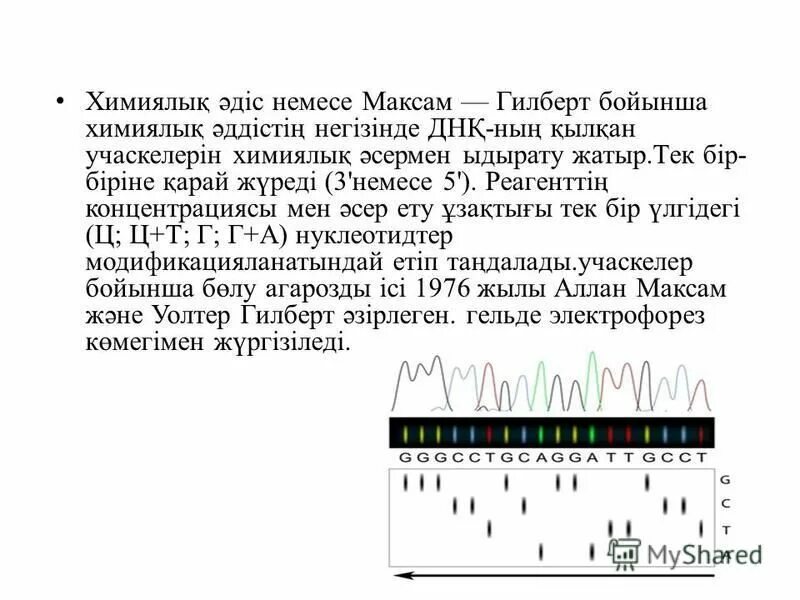Рестриктаза ecori. Метод максама и гилберта химический. Гилберт кит черстон. 29 мая 1874 честертон. Тест гилберта.