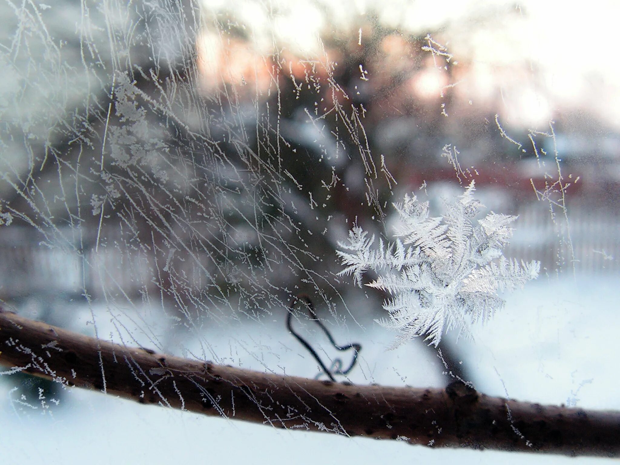Ветер выл мокрый снег падал хлопьями. Метель. Февральская метель. Пурга за окном. Метель за окном.